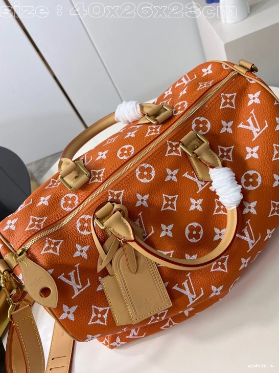 WIS SPEEDY Louis Vuitton 40 0307